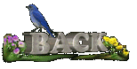BirdBack icon