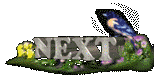 BirdNext icon