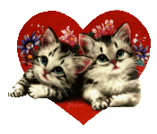 heartcats